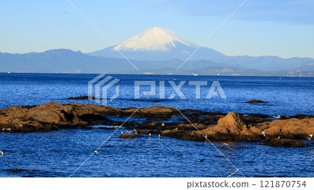 橫須賀市立石公園的冬天 橫須賀市立石公園的冬天 121870754