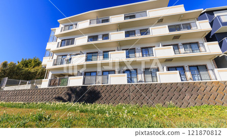 水仙花名勝北下浦水仙路 水仙花名勝北下浦水仙路 121870812