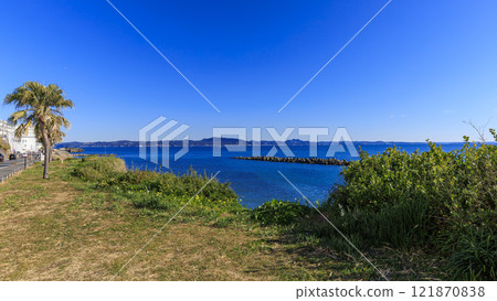 Kitashimoura Daffodil Road, a famous spot for daffodils Kitashimoura Daffodil Road, a famous spot for daffodils 121870838