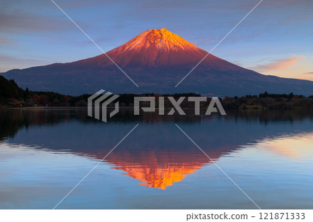 Saori, Fujinomiya City, Shizuoka Prefecture - Snow-capped World Heritage Mt. Fuji at dusk as seen from Lake Tanuki on the Asagiri Plateau, and the inverted crimson Mt. Fuji on the lake surface 121871333