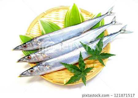 Sanma Sanma Sanma Sanma Sanma Sanma 121871517
