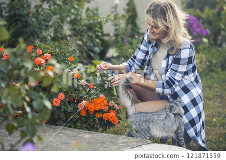 girl gardener prunes diseased and withered roses in the garden with secateurs girl gardener prunes diseased and withered roses in the garden with secateurs 121871559