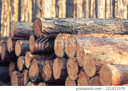 freshly cut logs piled in a forest , highlighting the process of logging and timber preparation freshly cut logs piled in a forest , highlighting the process of logging and timber preparation 121871570