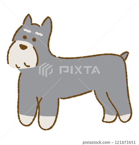 迷你雪納瑞站立 迷你雪納瑞站立 121871651