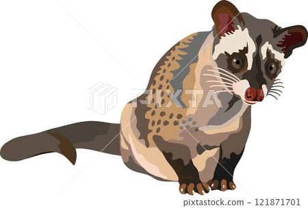 Palm Civet Mammal Animal 121871701