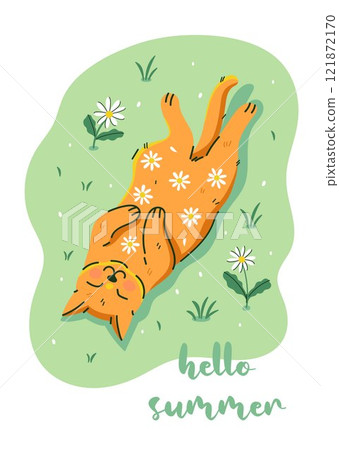 Cute ginger cat with daisies on his belly is sleeping. Vector graphics. 121872170
