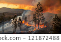 Devastating Wildfire Burning Trees and Vegetation in a Woodland Area 121872488