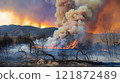 Devastating Wildfire Burning Trees and Vegetation in a Woodland Area 121872489