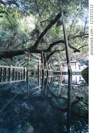 鹿島神社御手洗池超廣角 鹿島神社御手洗池超廣角 121872512