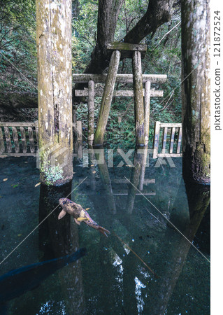 鹿島神社御手洗池超廣角 121872524