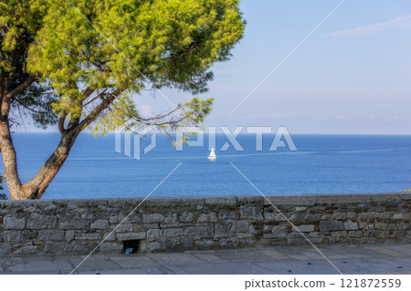 Rovinj, Croatia square with trees and sea view 121872559