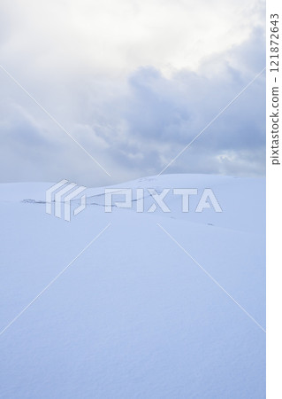 冬季鳥取沙丘的雪景 鳥取縣 鳥取沙丘 冬季鳥取沙丘的雪景 鳥取縣 鳥取沙丘 121872643