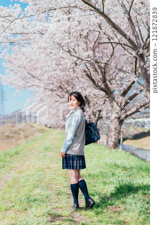 A high school girl who goes to school on a cherry blossom riverbed A high school girl who goes to school on a cherry blossom riverbed 121872839