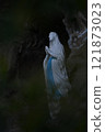 Tokyo Cathedral of St. Mary, Lourdes Grotto 121873023