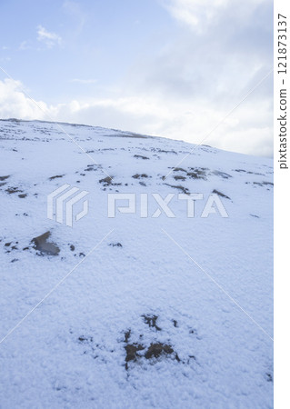 冬季鳥取沙丘的雪景 鳥取縣 鳥取沙丘 冬季鳥取沙丘的雪景 鳥取縣 鳥取沙丘 121873137