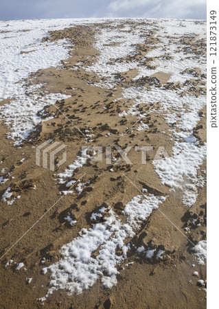 Snow scene of Tottori Sand Dunes in winter Tottori Prefecture Tottori Sand Dunes 121873149