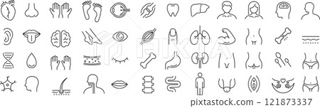 關於單色向量中的解剖學的線條畫圖示集 關於單色向量中的解剖學的線條畫圖示集 121873337