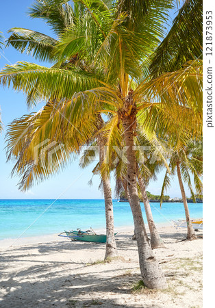 Coconut palm trees on a beautiful beach on Malapascua Island, Philippines. Coconut palm trees on a beautiful beach on Malapascua Island, Philippines. 121873953
