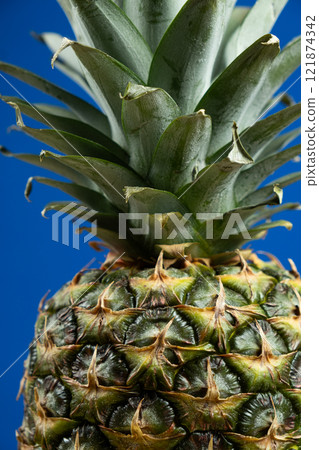 One fresh ripe pineapple fruit on a blue background 121874342