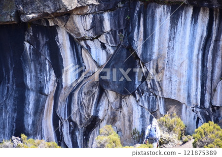 Zebra Rock 121875389