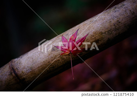 《秋天的園林風景》 《秋天的園林風景》 121875410