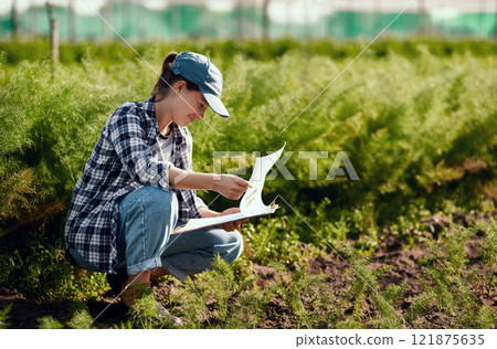Young female farmer preparing for harvest while working on her farm field ensuring the organic soil is fresh and sustainable outside. Happy worker reading her clipboard notes to check farming land Young female farmer preparing for harvest while working on her farm field ensuring the organic soil is fresh and sustainable outside. Happy worker reading her clipboard notes to check farming land 121875635