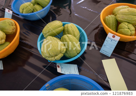 塑膠漏勺中的佛手瓜 塑膠漏勺中的佛手瓜 121876983