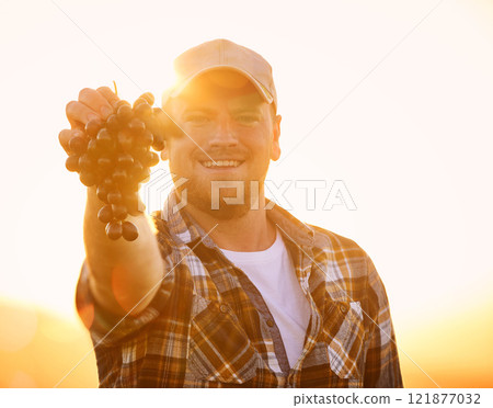 Portrait of a happy farmer holding up a bunch of grapes, excited and happy with organic fruit. Young man proud of sustainable farming, cheerful and eager to start his produce selling business 121877032