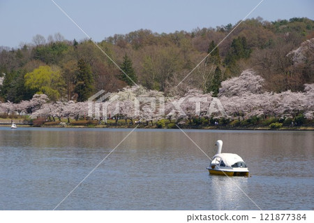 盛岡風景、春天高松池、高松公園 121877384