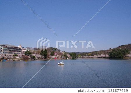 盛岡風景、春天高松池、高松公園 121877419