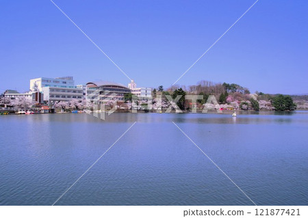 盛岡風景、春天高松池、高松公園 盛岡風景、春天高松池、高松公園 121877421