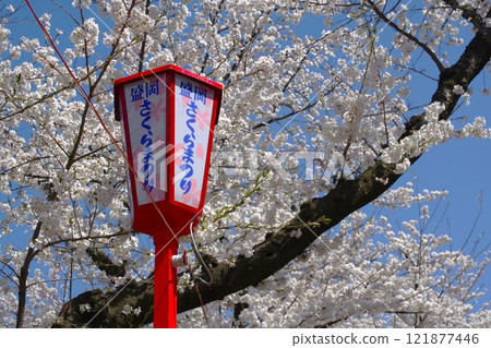 盛岡的風景 - 櫻花祭燈籠 121877446
