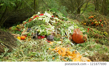 Compost vegetable bio farm autumn rotten tomato pumpkin pepper lettuce cabbage watermelon pile mold fungi ecology farming waste food organic rot rust vegetables plant Europe Compost vegetable bio farm autumn rotten tomato pumpkin pepper lettuce cabbage watermelon pile mold fungi ecology farming waste food organic rot rust vegetables plant Europe 121877890
