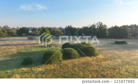 Meadow plain floodplain drone aerial Plane loucky fog morning over nature reserve, Litovelske Pomoravi protected landscape area, endangered species of plants, willows, virgin nature, Europe Meadow plain floodplain drone aerial Plane loucky fog morning over nature reserve, Litovelske Pomoravi protected landscape area, endangered species of plants, willows, virgin nature, Europe 121877893