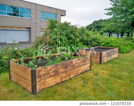 Plants growing garden beds beside the office building on overcast sky background 121878138