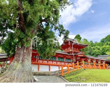 World Heritage Site: Kasuga Taisha Shrine 121878289