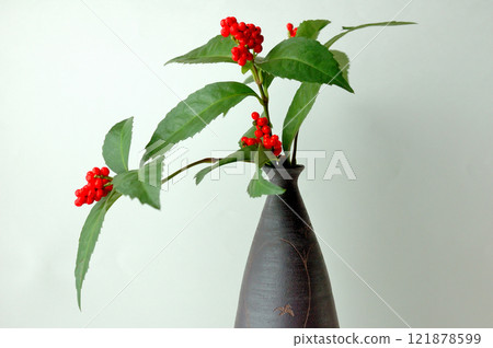 Sarcandra glabra和Bizen器皿 Sarcandra glabra和Bizen器皿 121878599