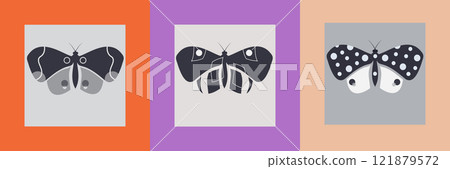 Monochrome butterflies template set. Abstract vector designs for poster, greeting card, print. 121879572