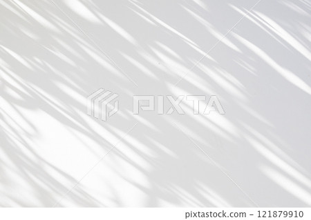 Abstract natural tree leaves shadow on white wall background 121879910