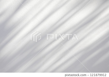 Abstract natural tree leaves shadow on white wall background 121879912