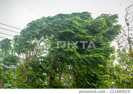 storm with heavy rain and strong winds storm with heavy rain and strong winds 121880029