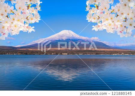 櫻花盛開的新春富士山和山中湖 121880145
