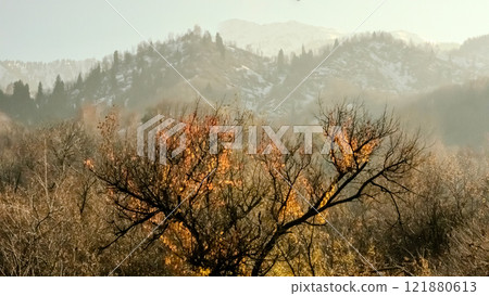 Mountains winter resort 121880613