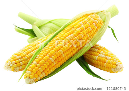 Corn isolated on white background png transparent clipart. 121880743