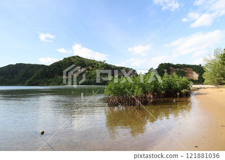 陽光明媚的日子可以欣賞紅樹林的海濱景色 陽光明媚的日子可以欣賞紅樹林的海濱景色 121881036