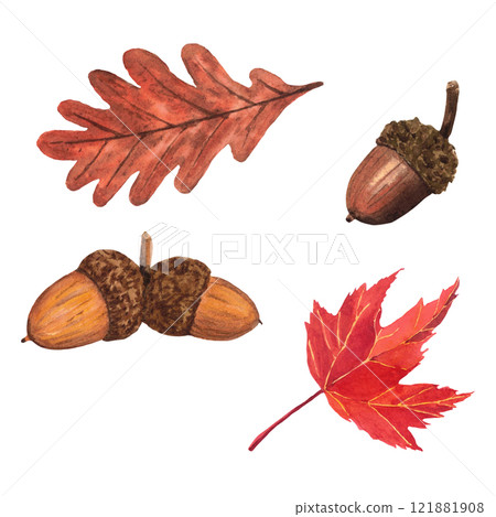 Watercolor hand-drawing leaves and acorns. Fall composition. Fall, autumn, thanksgiving, holiday 121881908