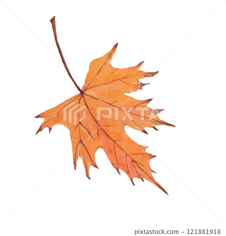 Watercolor hand-drawing leaf. Fall leaf. Fall, autumn, thanksgiving, holiday Watercolor hand-drawing leaf. Fall leaf. Fall, autumn, thanksgiving, holiday 121881918