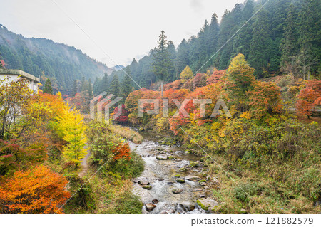 從豐田市大平公園風吊橋上看到的紅葉覆蓋的山脈(愛知縣) 從豐田市大平公園風吊橋上看到的紅葉覆蓋的山脈(愛知縣) 121882579