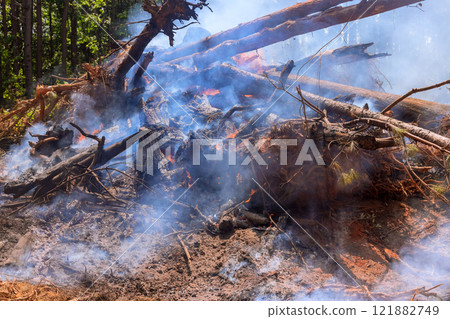 Flames consume fallen timber while smoke billows into air in forest during wildfire of fire ecological fallen 121882749