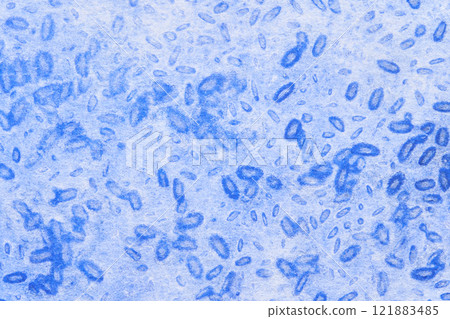 Microscopic view of blue bacterial cells with irregular shapes and distribution 121883485